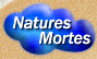 Natures mortes